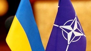 Долгов: У Украины одна цель – стать членом НАТО. Без «или»