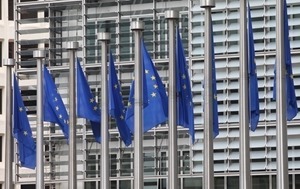 Европарламент убежден, что РФ несет угрозу странам ЕС в Черном море