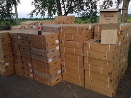 СБУ задержала 22 грузовика с товарами,  предназначенными для боевиков «ДНР»