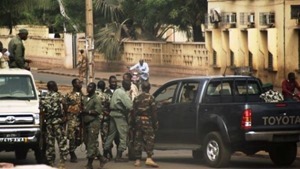 МИД сообщило детали антитеррористической операции в Мали