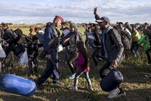 Беженцы прорвали полицейские заслоны на границе Сербии и Венгрии